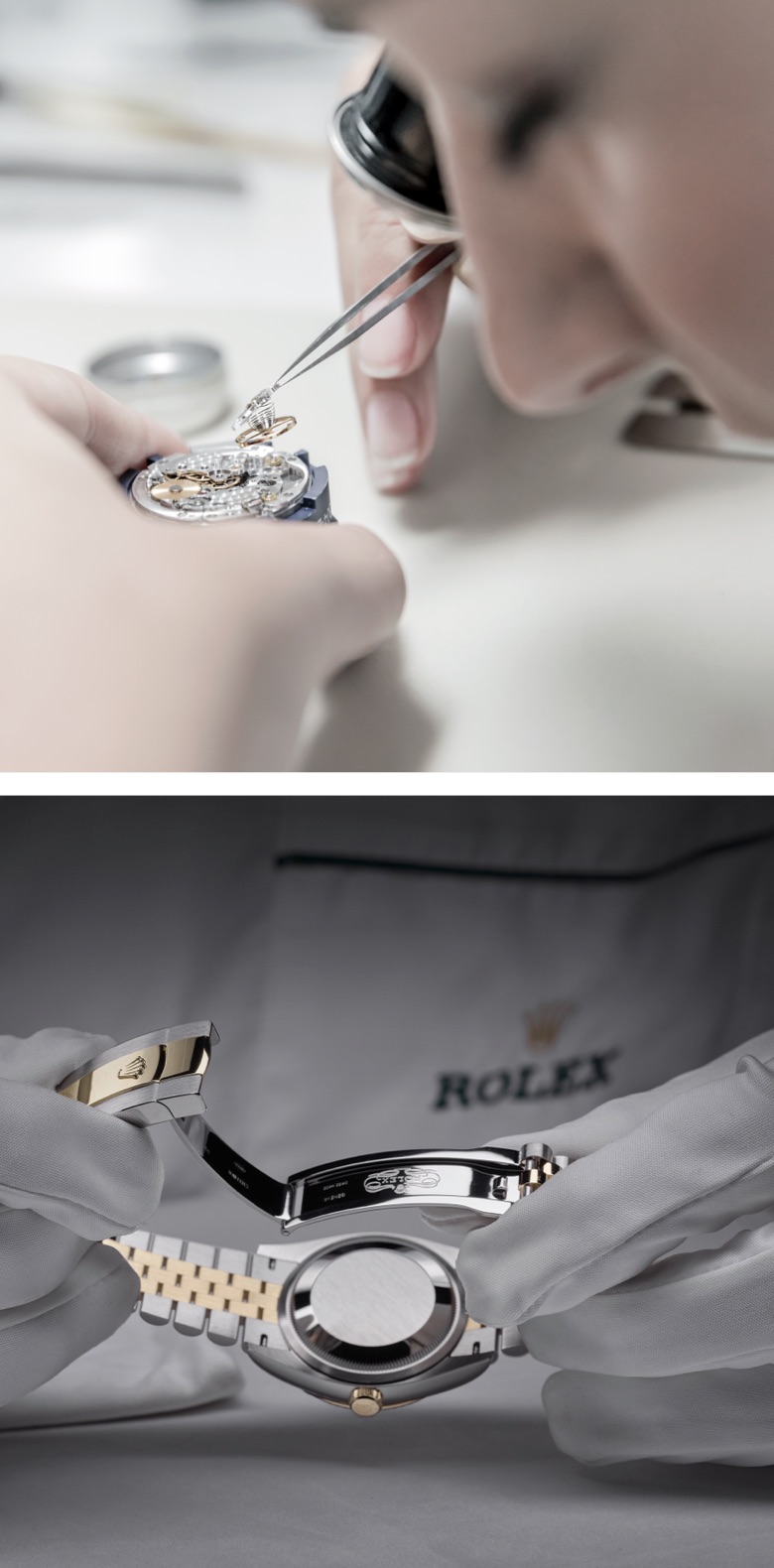 A voyage into the world of Rolex